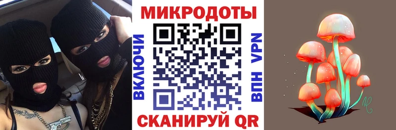 где найти наркотики Сураж Псилоцибиновые грибы прущие грибы
